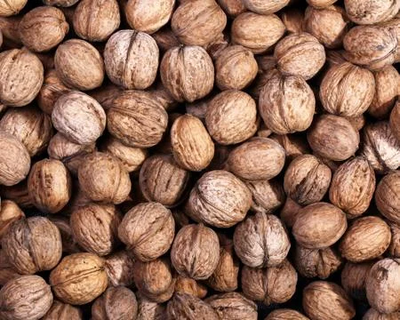 Walnuts Stock Photos