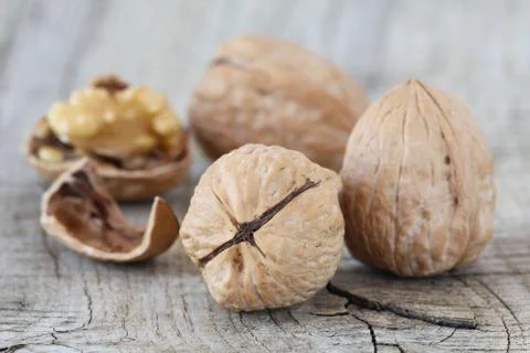 Walnuts Stock Photos