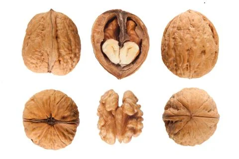 Walnuts Stock Photos