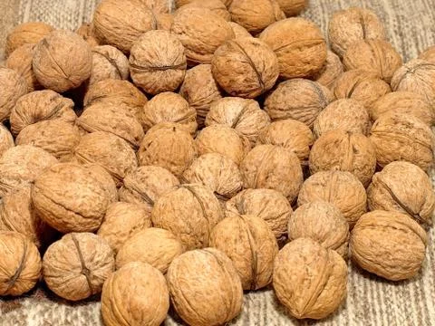 Walnuts. Stock Photos