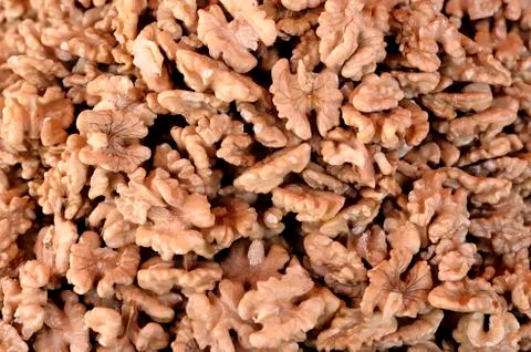 The walnuts Stock Photos