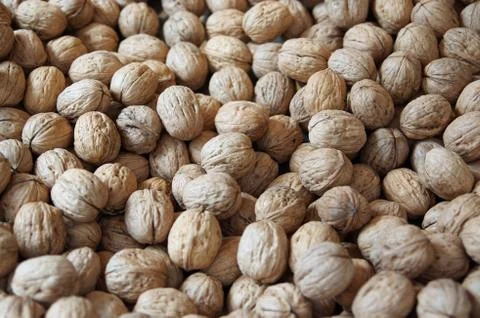Walnuts Stock Photos