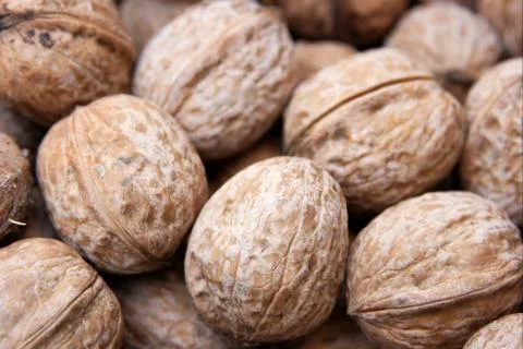 Walnuts Stock Photos