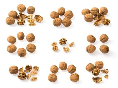 Walnuts Stock Photos