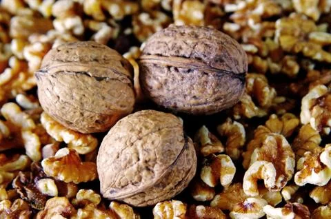 Walnuts Stock Photos