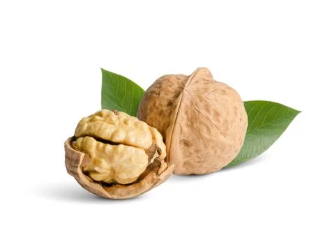 Walnuts Stock Photos