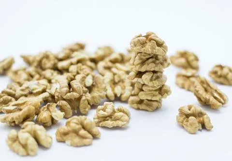 Walnuts 스톡 사진