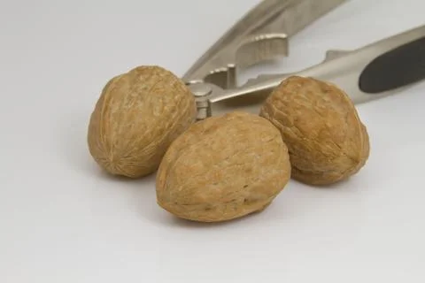 Walnuts Stock Photos