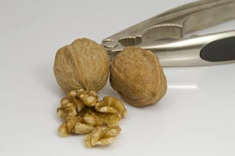 Walnuts Foto stock