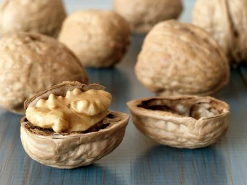 Walnuts 스톡 사진