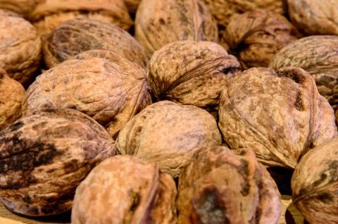 Walnuts Stock Photos
