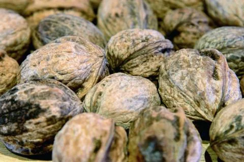 Walnuts Stock Photos