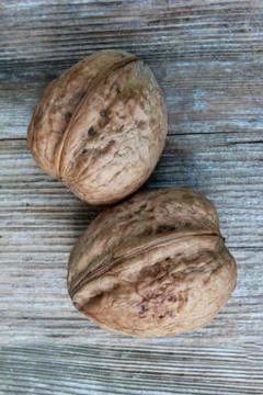 Walnuts Stock Photos