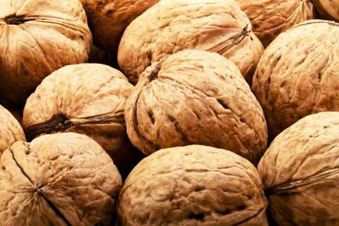 Walnuts Stock Photos