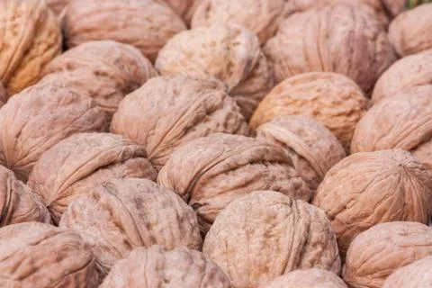 Walnuts Stock Photos