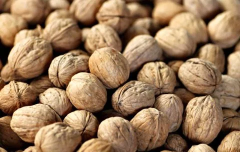 Walnuts Stock Photos