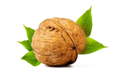 Walnuts Stock Photos