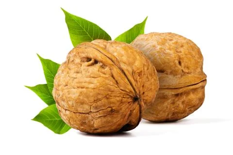 Walnuts Stock Photos