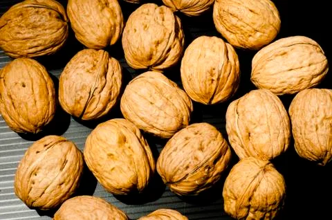 Walnuts Photos