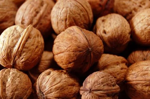 Walnuts Stock Photos