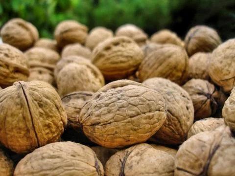 Walnuts Stock Photos