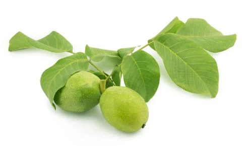 Walnuts Stock Photos