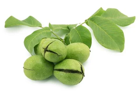 Walnuts Stock Photos