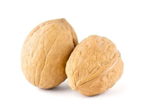 Walnuts Foto stock
