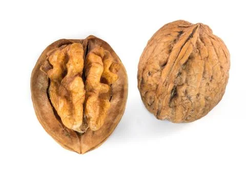 Walnuts Stock Photos