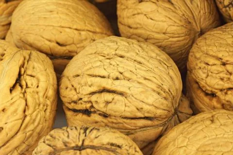 Walnuts Stock Photos