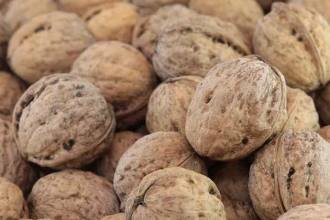 Walnuts Stock Photos