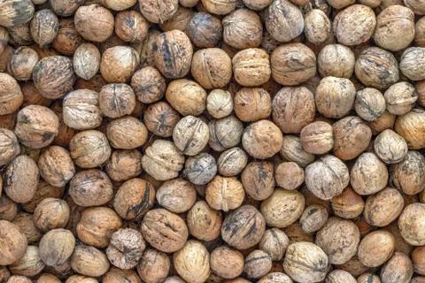 Walnuts Stock Photos