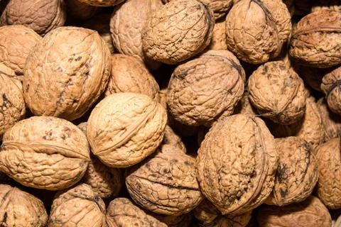 Walnuts Stock Photos