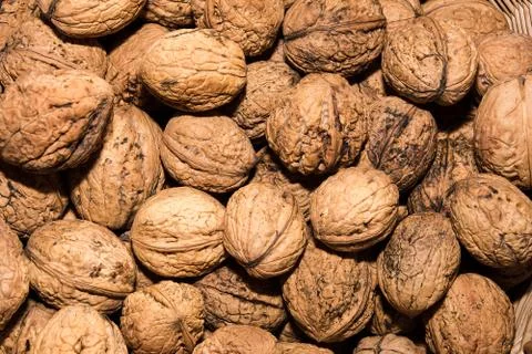 Walnuts Stock Photos