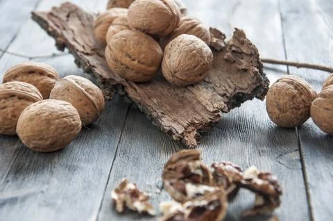 Walnuts. Stock Photos