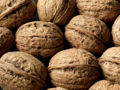 Walnuts Stock Photos