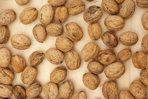 Walnuts Stock Photos