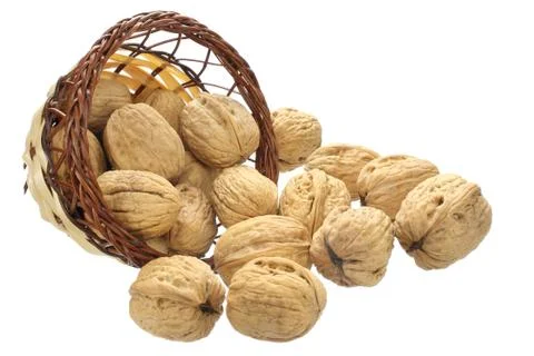 Walnuts Stock Photos