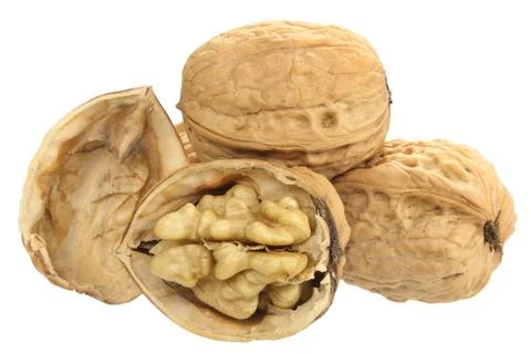 Walnuts Stock Photos