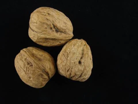 Walnuts 스톡 사진