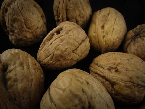 Walnuts 스톡 사진