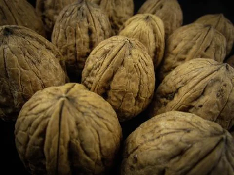 Walnuts 스톡 사진