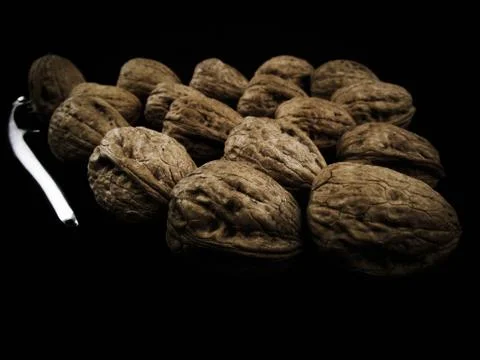 Walnuts 스톡 사진
