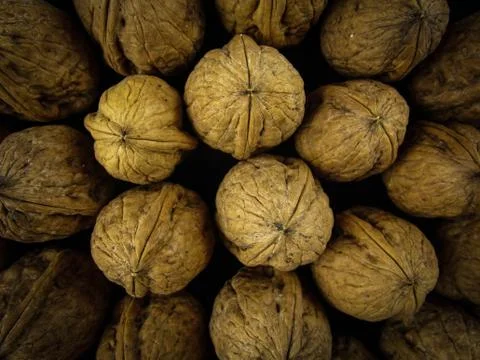 Walnuts 스톡 사진
