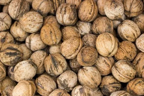 Walnuts Stock Photos