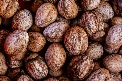 Walnuts Stock Photos