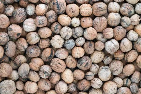 Walnuts Stock Photos