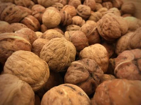 Walnuts Stock Photos