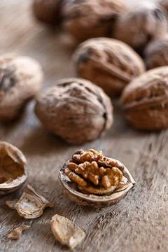 Walnuts Stock Photos