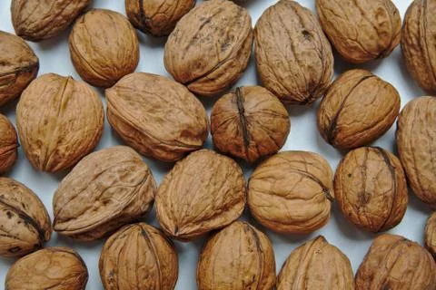 Walnuts Stock Photos